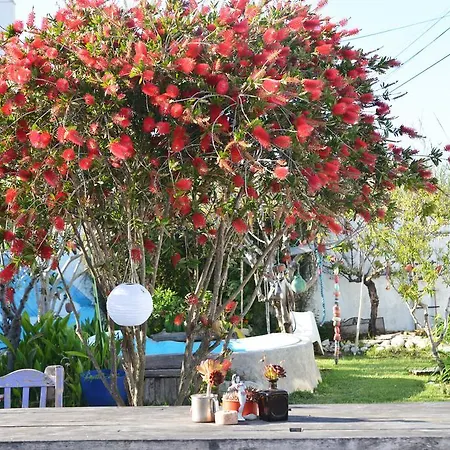 Hostel Portuguese Loveboat Baleal