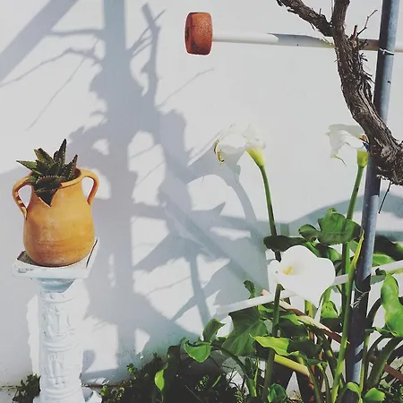 Portuguese Loveboat Hostel Baleal