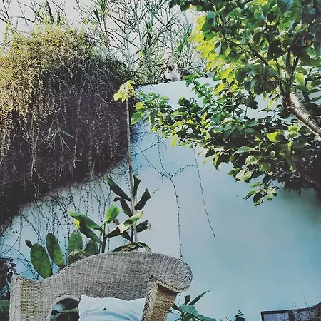 Portuguese Loveboat Hostel